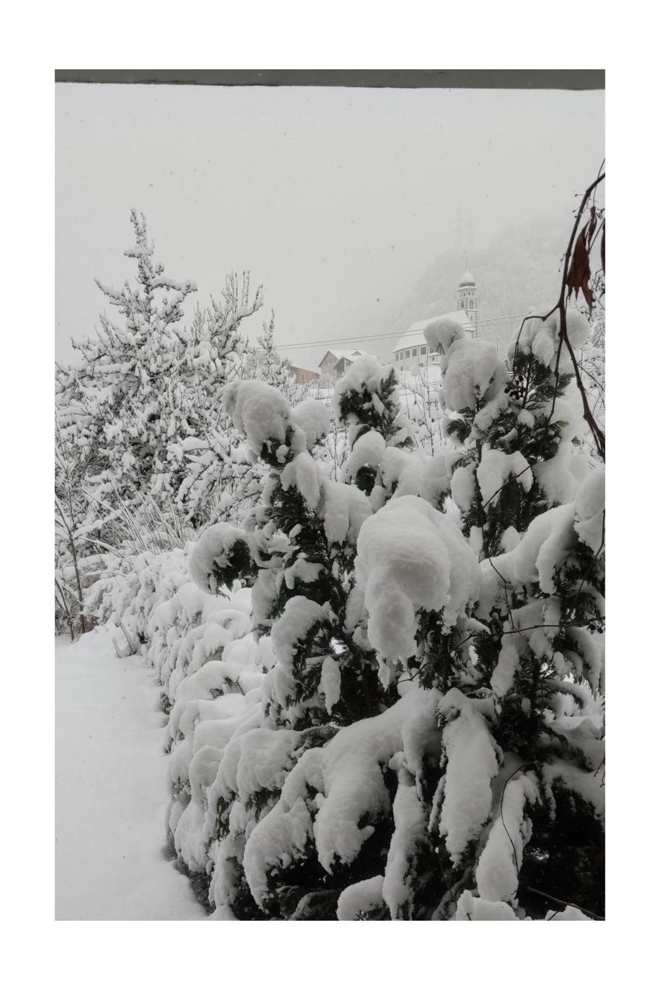Tavanasa Ustria Crusch Alva Bed & Breakfast エクステリア 写真